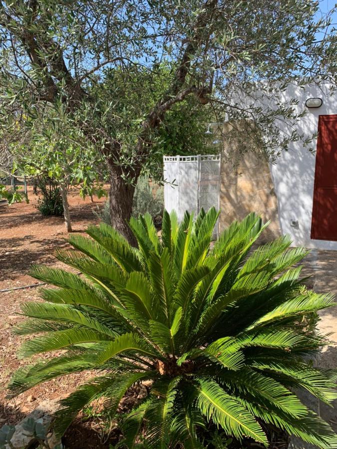 Villa Trullo Tojo Ostuni Exterior foto