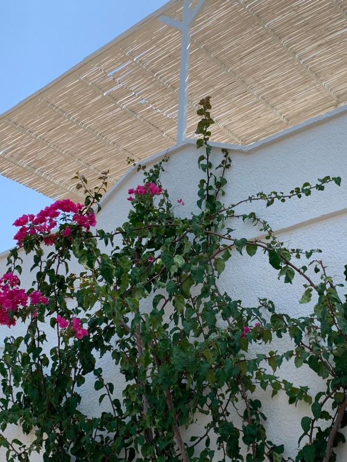 Villa Trullo Tojo Ostuni Exterior foto
